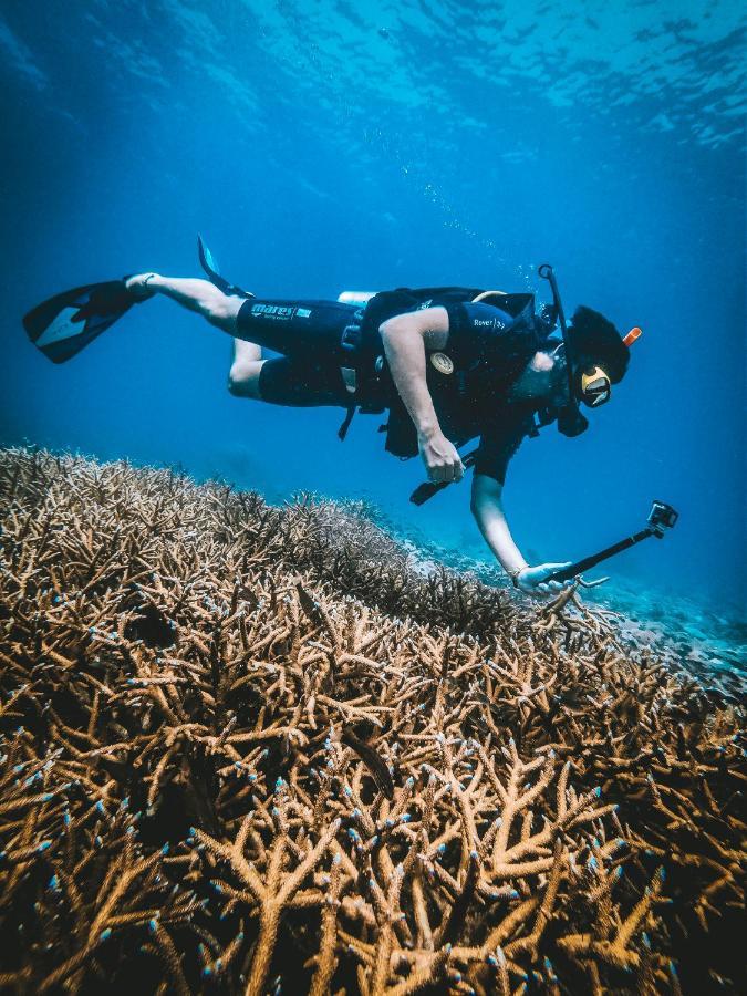 Dpm Koh Tao Diving Hotel & Bar Exterior photo